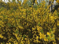 -回龙观体育文化公园