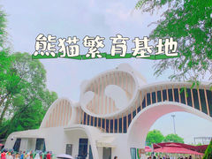 -成都大熊猫繁育研究基地