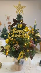 -安丽国际月子会所