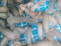 -宾朋海鲜美食特色餐厅·纯手工鲅鱼水饺(兴海路店)