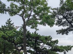 -刘公岛景区