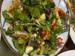 -肥弟大排档(汕樟路店)