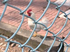 -南京金牛湖风景区