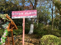 -茅山东方盐湖城景区