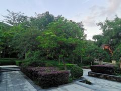 -大屏嶂森林公园