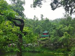 -岳麓山风景名胜区