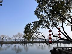 -无锡蠡湖国家湿地公园-蠡园
