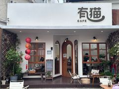 -有猫主题·治愈系猫咖(曾厝垵店)