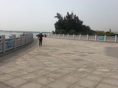 -宝安西湾红树林湿地公园