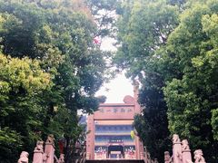 -阅江楼风景区