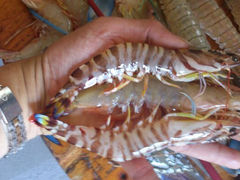 android_upload_pic-沙扒湾