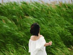 -盐湖景区