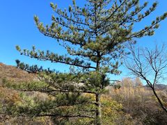 -玉渡山自然风景区