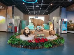 -陕西自然博物馆