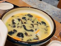 -喜上喜鸡煲翅(吉大店)