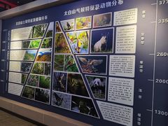-陕西省红河谷森林公园