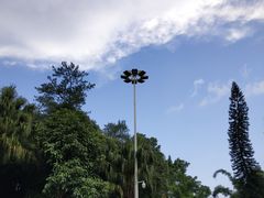 -广州市流溪河国家森林公园