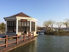 -上海鲜花港