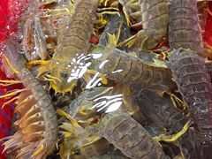 -79号渔船海鲜饭店(华强北店)