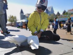 -烟台海昌鲸鲨海洋公园