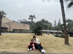 -自贡恐龙博物馆