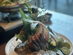 竹荚鱼-九州酒场ひこぞう(1号店)