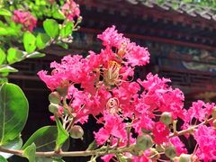 -恭王府博物馆