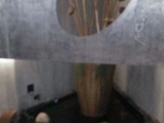 -常乐·对症推拿(世豪第30分店)