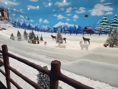 -世界之窗阿尔卑斯冰雪世界