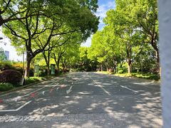 -上海市实验学校