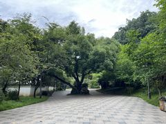 -乌山风景区