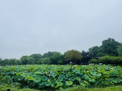 -石湖景区