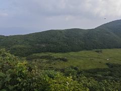 -大围山国家森林公园