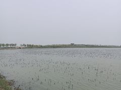 -天津东丽湖风景区