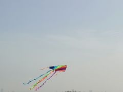 -汉长安城未央宫国家考古遗址公园