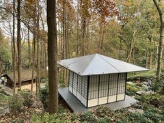 -中国茶叶博物馆(双峰馆区)