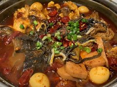 -眉州东坡(民族园店)