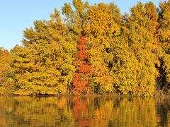 -上海海湾国家森林公园