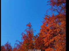 -福道