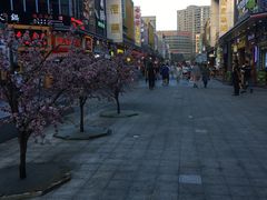 -万达广场(松江店)