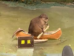 -陕西自然博物馆