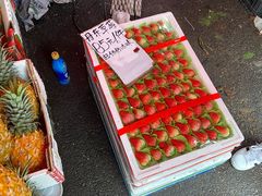 -红星农博物流中心