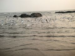 -老虎石海上公园