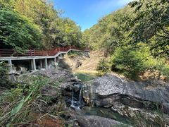 -广州白江湖森林公园