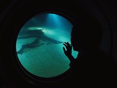 -白鹤梁水下博物馆