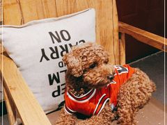 -苹果树下艺术餐厅(通州店)