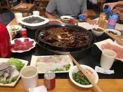 鲜毛肚-锅首鲜品火锅(鸳鸯店)