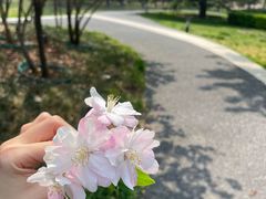 -北京石景山游乐园
