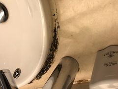 -上海神旺大酒店