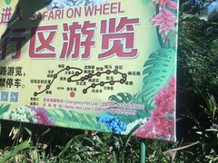 -海南热带野生动植物园